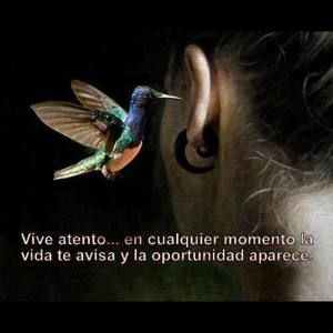 Meet your Posher, Irma